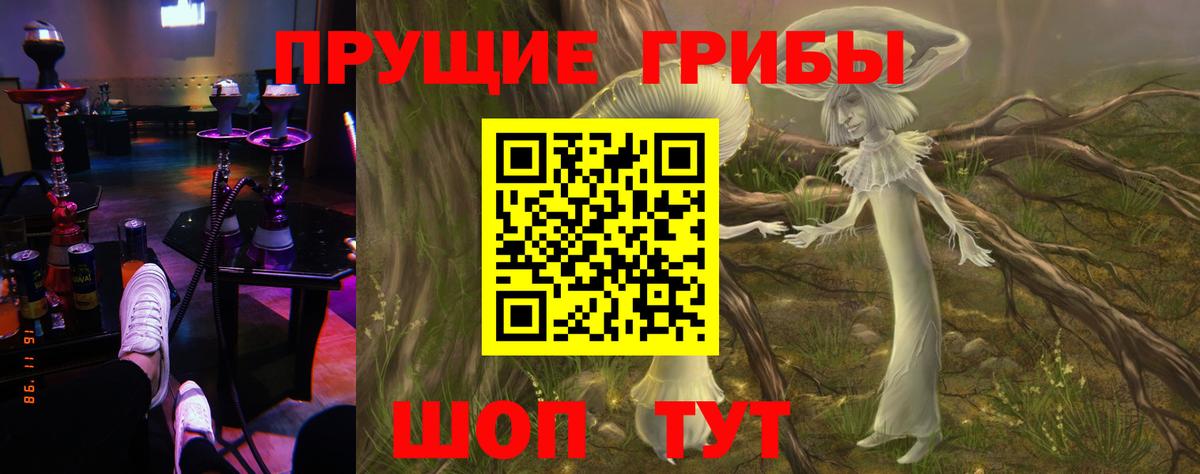 Галлюциногенные грибы Psilocybine cubensis Мыски